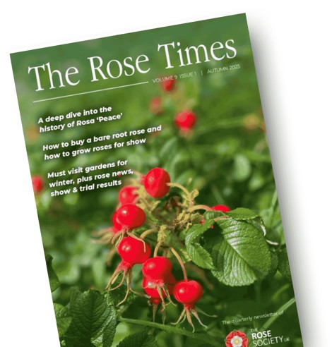 The Rose Times - Autumn 2025